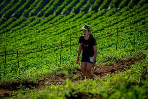 BIB: 
                            <button type="button" onclick="openModal(19161141)" class="btn btn-primary btn-sm float-right btn-popup" data-toggle="modal" data-target=".modal-high-quality">
                        <i class="fas fa-shopping-cart"></i> Add to Cart
                    </button>
                                            <button type="button" onclick="isThisMe(19161141, true)" class="btn btn-success btn-sm float-right btn-popup btn-isme hidden" data-toggle="tooltip" data-placement="bottom" title="นี่คือรูปของคุณใช่ไหม คลิกที่นี่เพื่อเอาเข้าอัลบั้ม">
                        <i class="fas fa-plus"></i> Add to album
                    </button>
                    <button type="button" onclick="isThisMe(19161141, false)" class="btn btn-warning btn-sm float-right btn-popup btn-isnotme hidden">
                        <i class="fas fa-ban"></i> Remove from album
                    </button>